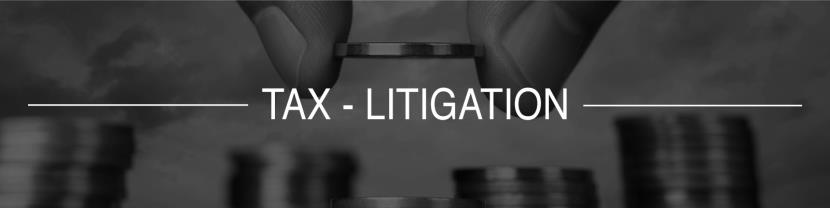 Tax Litigation Services